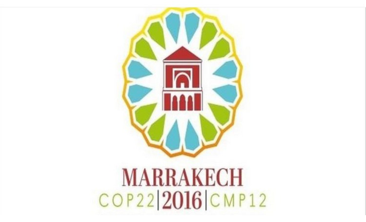 actualite_67d180d7-d36f-462b-8f64-bb73d50b0133-750