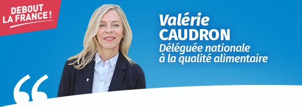 actualite_caudron
