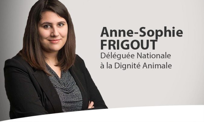 actualite_frigout-750-454-2_0