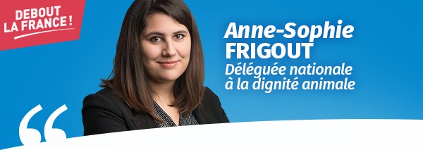 actualite_frigout_2