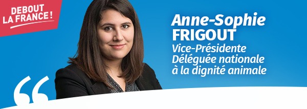 actualite_frigout_4