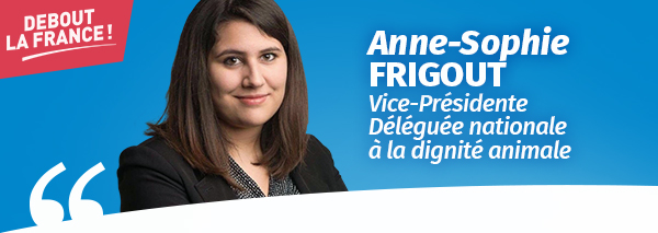 actualite_frigout_5