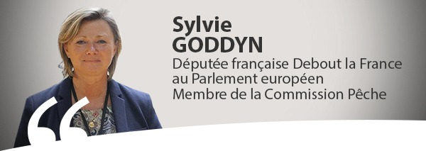 actualite_goddyn-600-213