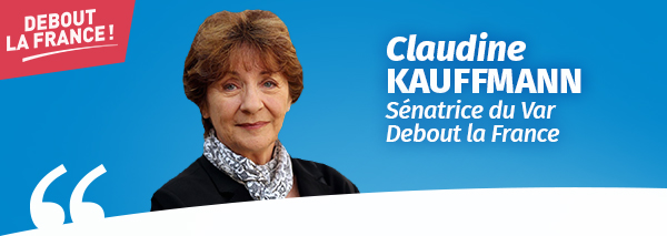 actualite_kauffmann
