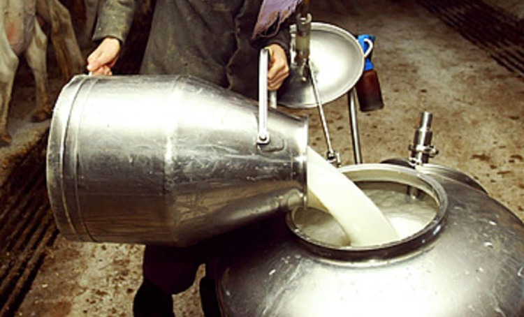 actualite_lait2_0