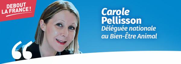 actualite_pellisson_0