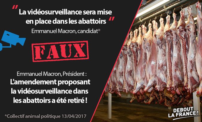 actualite_verbatim-abattoirs-site