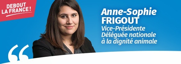 actualite_whatsapp_image_2019-10-28_at_12.14.00