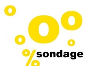 sondage-300×225