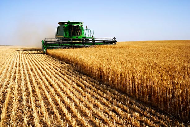 tribune_agriculture