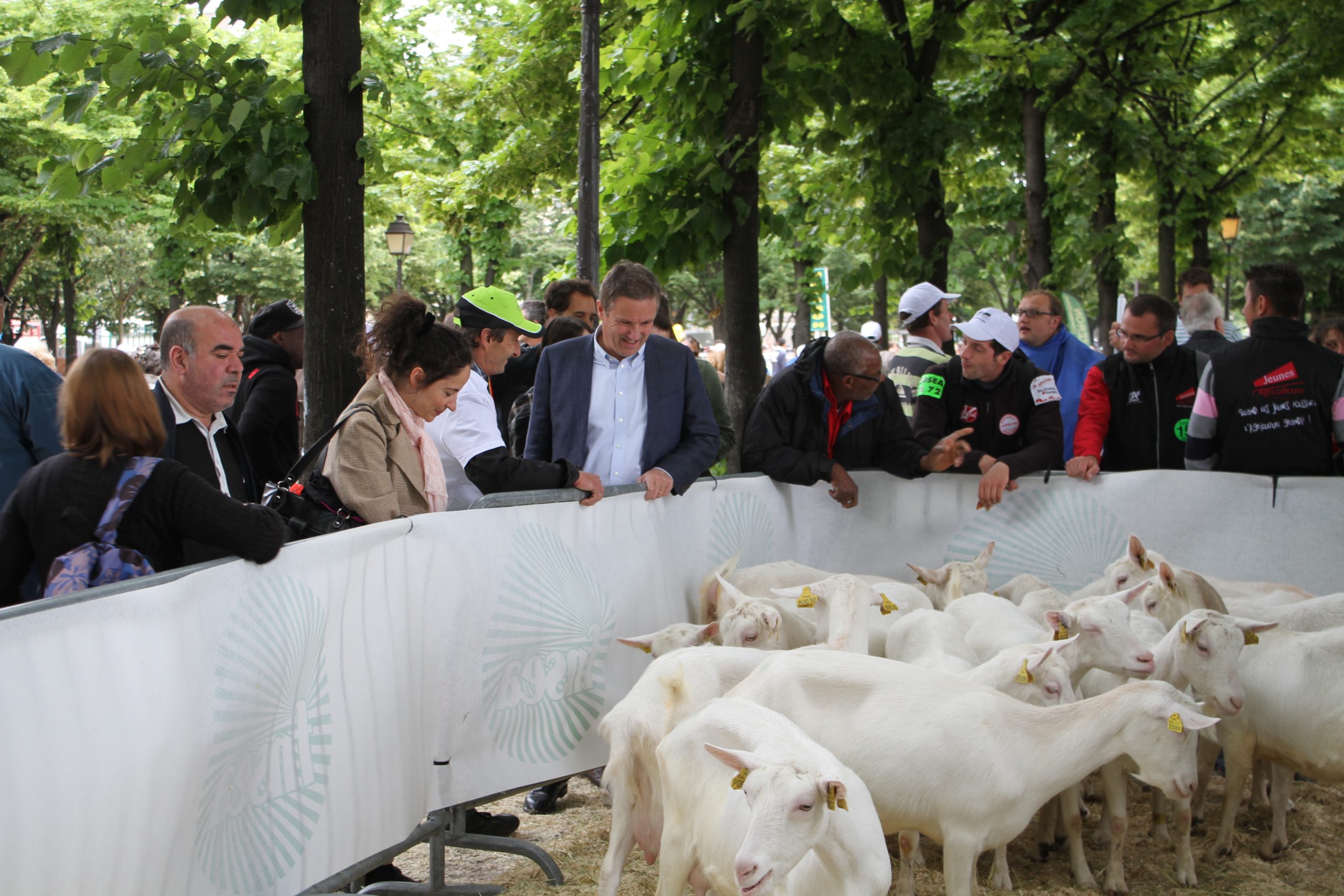 tribune_img_8173-scaled