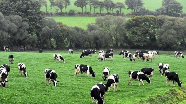 tribune_prevenir-de-futures-crises-du-lait