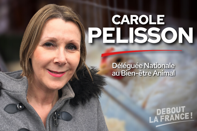 PELISSON Carole_Bannière