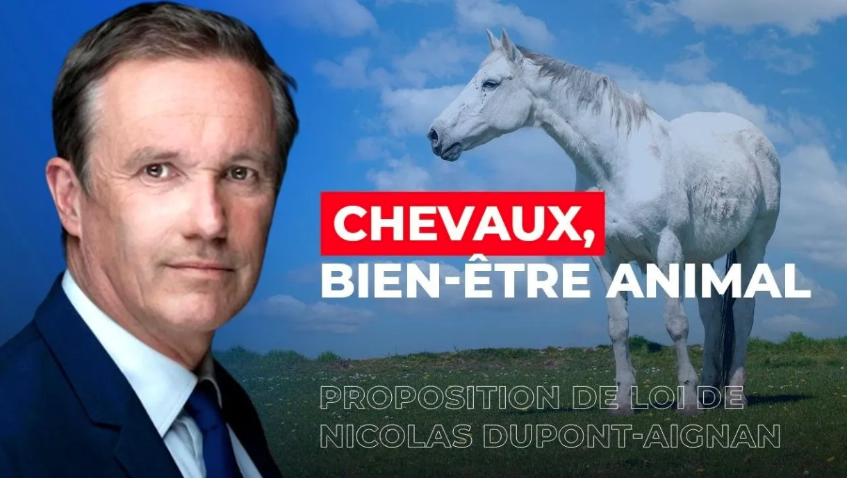 28 artistes soutiennent la proposition de loi de Nicolas DupontAignan pour interdire la viande