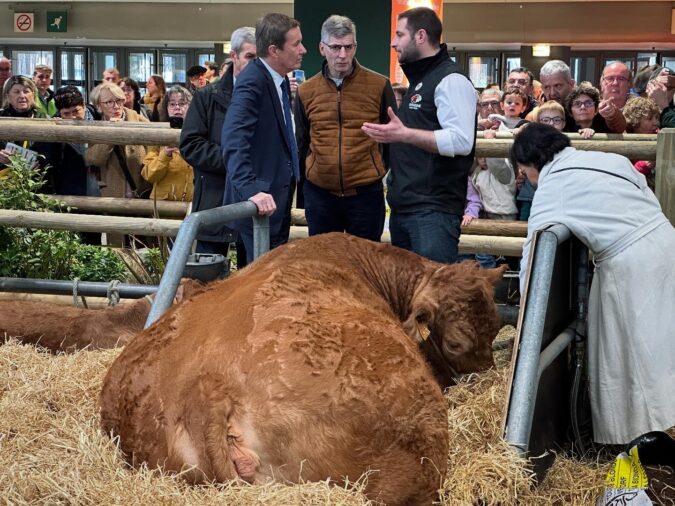 02 – 08D0507C-6FE3-4156-92DD-A51792EA667C